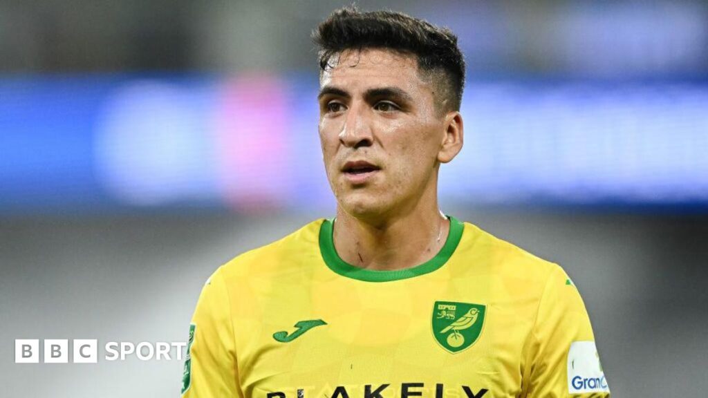 Marcelino Nunez of Norwich City looks on while in action for his side