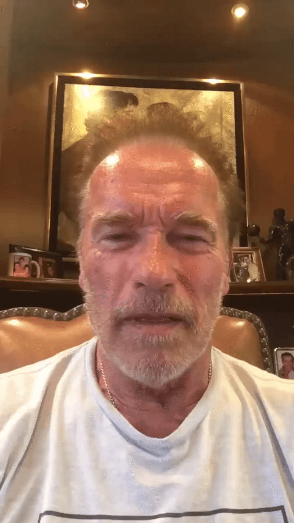 "Mr. President Trump, you stood there like a little white noodle, like a fanboy," - said Arnold Schwarzenegger about Trump's meeting with Putin.