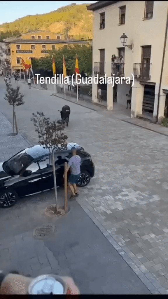 Bull demonstrates its raw power as it assists with parallel parking an SUV