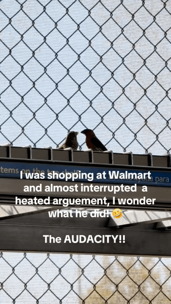 Maybe maybe maybe