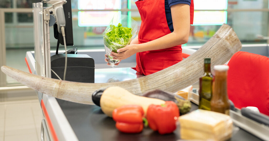 ShopRite Will No Longer Use Elephant Tusks As Checkout Dividers