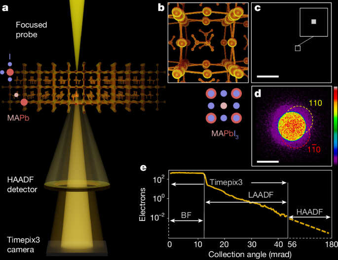 Atomically resolved edges and defects in lead halide perovskites
