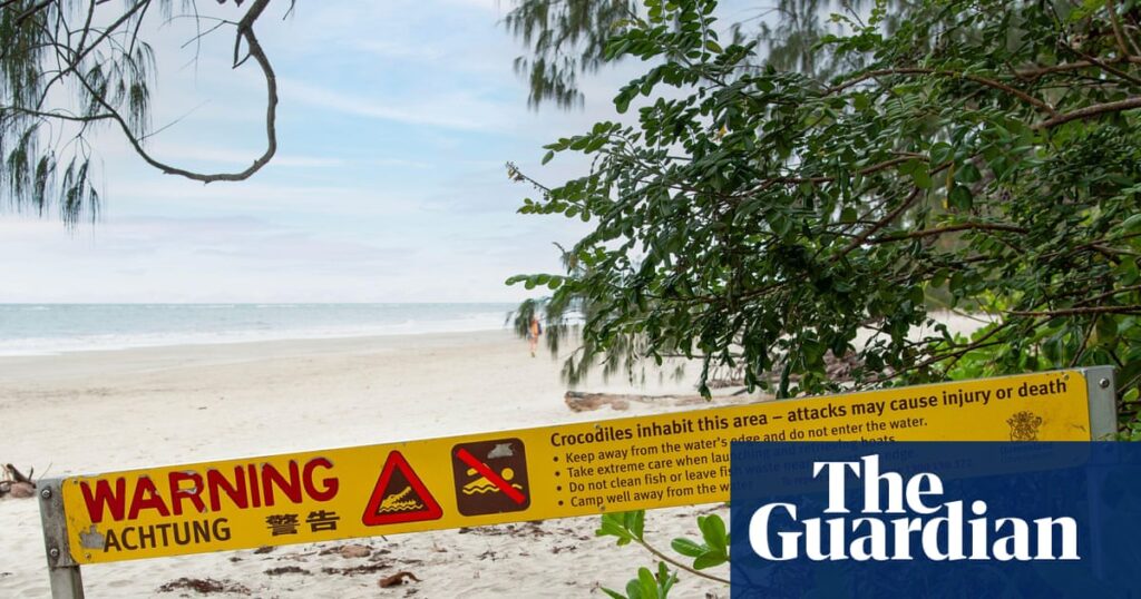 Boy, 14, hospitalised after crocodile attack while fishing at far north Queensland beach | Queensland
