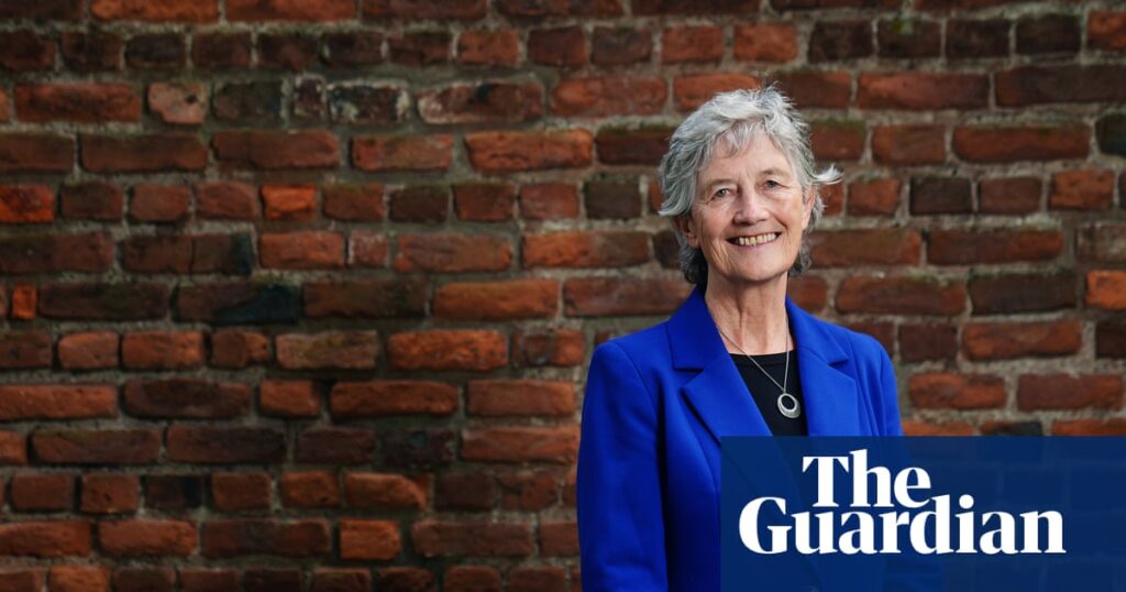 Catherine Connolly’s landslide shakes Ireland’s establishment – but not its politics | Ireland