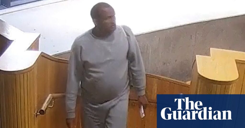Epping sex offender back in custody after being released from prison in error | UK news