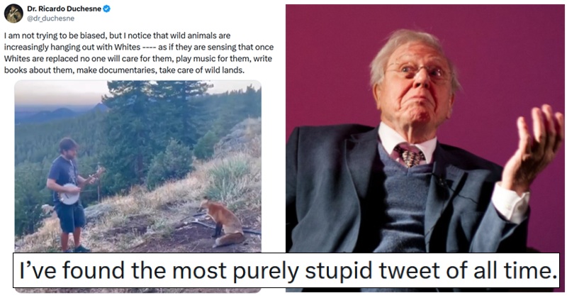 In a crowded field, this theory about wild animals might be the stupidest racist take of the day