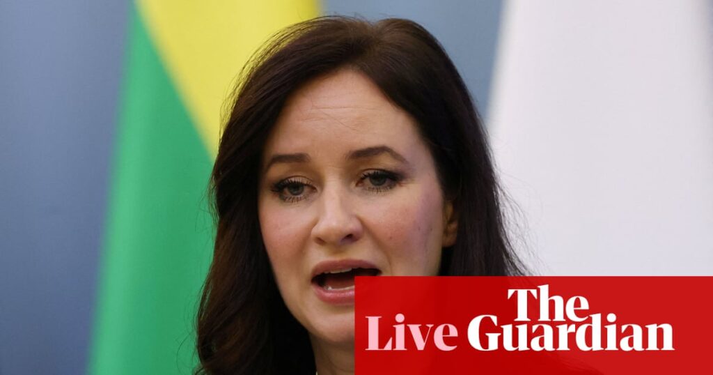 Lithuania closes border with Belarus after balloons shut down Vilnius airport – Europe live | Europe