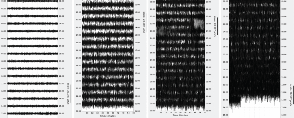 Seismometers Picked Up Hurricane Melissa’s Historic Power Like an Earthquake