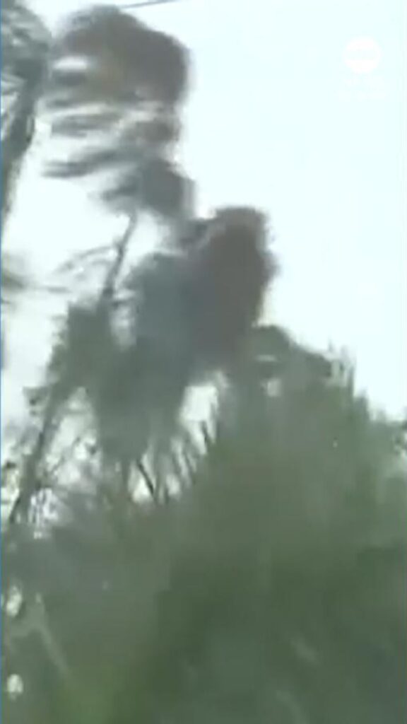 WATCH:  Hurricane Melissa has made landfall in Jamaica as a Category 5 hurricane stream logo