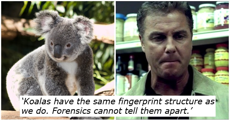 ‘What’s the most shocking fact you know?’ – 17 unexpected nuggets of information guaranteed to raise an eyebrow or two