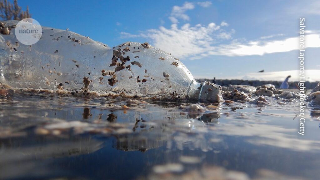 the essential elements missing from plastics treaty talks