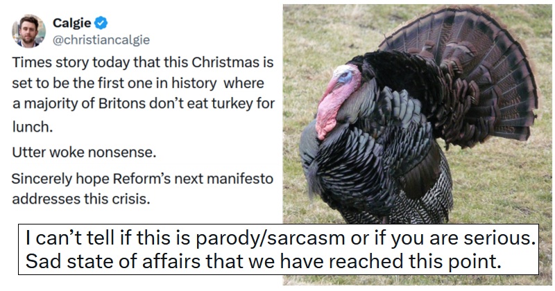 A Daily Express journalist suggested Reform UK should address the ‘crisis’ of people eating less turkey at Christmas, and the internet gave him a good stuffing
