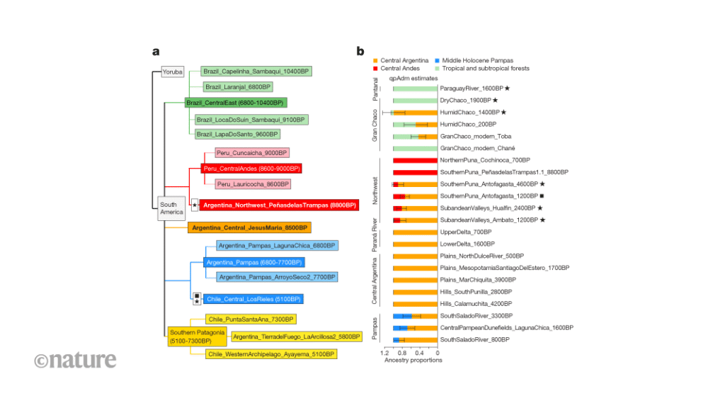 A distinctive human genetic lineage persisted in central Argentina for 8,500 years