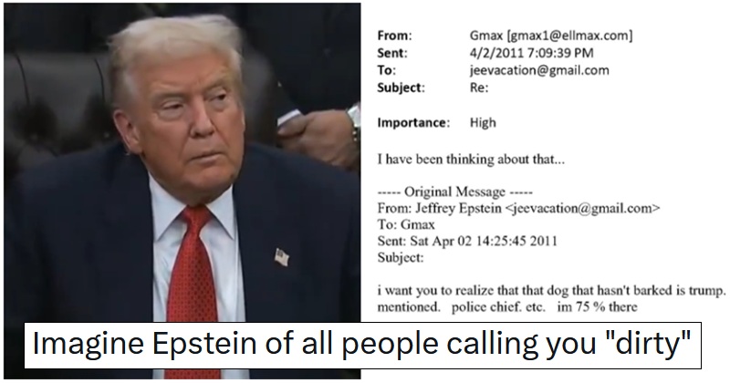 A panicked Donald Trump blanked reporters asking about his frequent mentions in the explosive newly released Jeffrey Epstein emails – 19 damning reactions