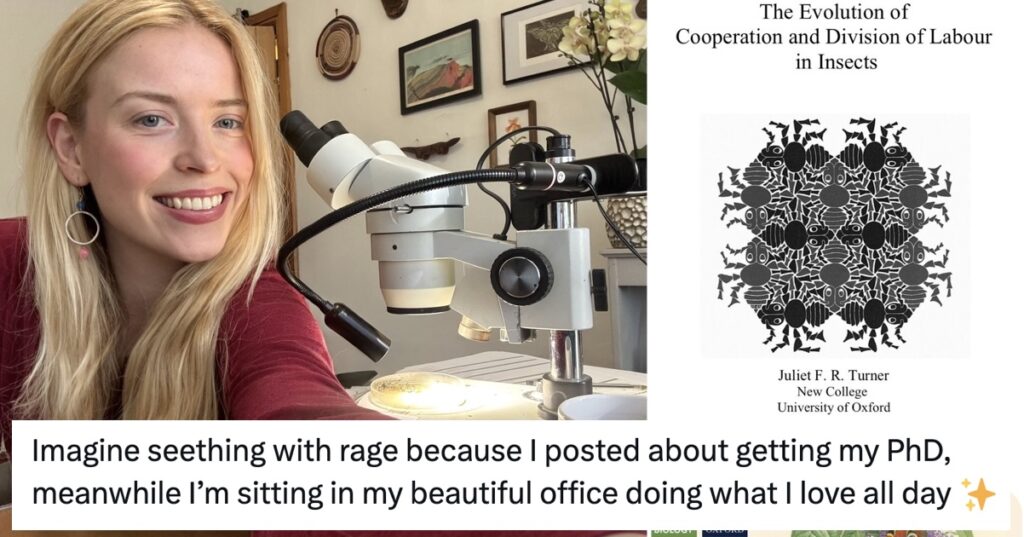 An ‘anti-woke warrior’ trolled this graduate’s ‘useless’ degree and was gloriously owned into next year and back