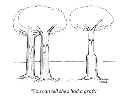 CARTOON: Branching Into Cosmetic Work