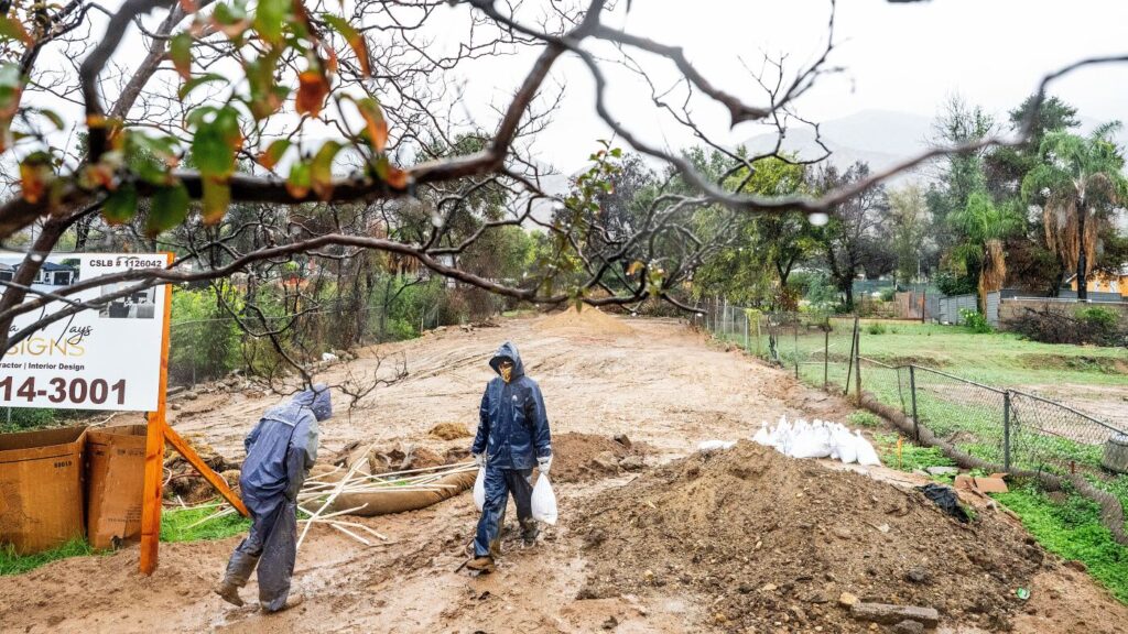 FEMA acting chief David Richardson departs after 6 months on the job, officials say : NPR