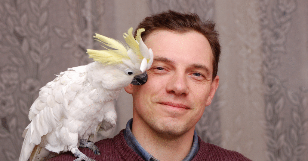 It’s Clear This Man’s Parrot Does Not Respect Him