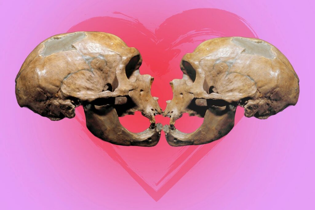 Kissing May Have Evolved 21.5 Million Years Ago in Ancestor of Great Apes and Humans