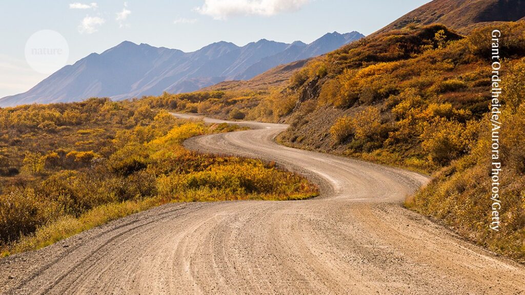 Lessons from a long road to a first-author paper