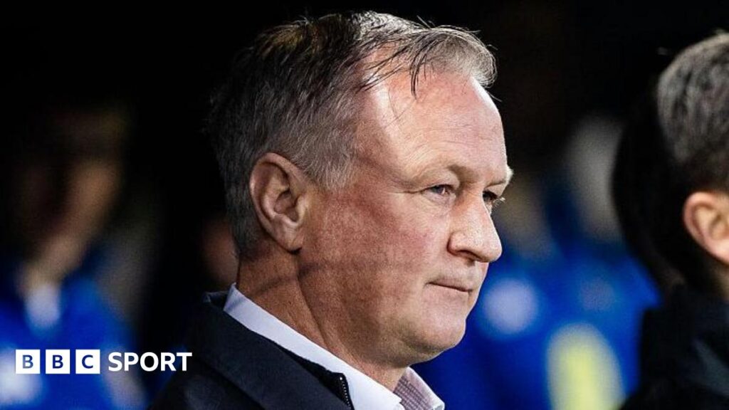 Slovakia 1-0 Northern Ireland: Referee needed to ‘be stronger’ says beaten manager Michael O’Neill Northern Ireland manager Michael O'Neill