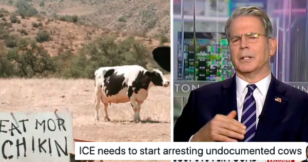 Trump’s Treasury secretary blamed high beef prices on immigrants bringing their own cattle with them and was mercilessly ribbed – 15 choice cut comebacks