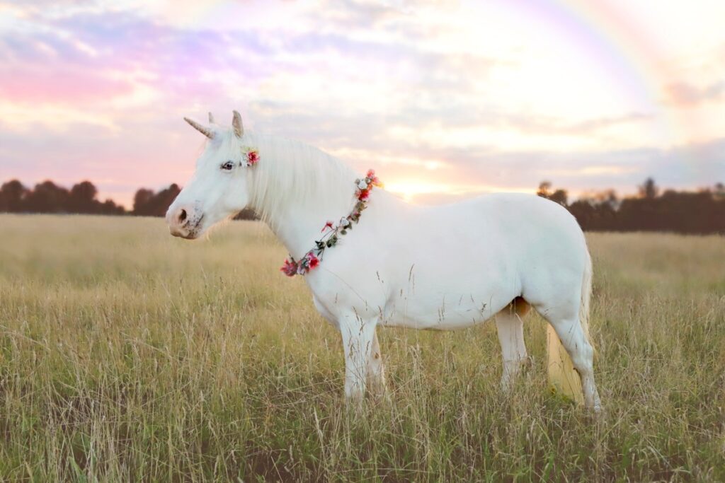 Meet the new European unicorns of 2026 unicorn in field with rainbow
